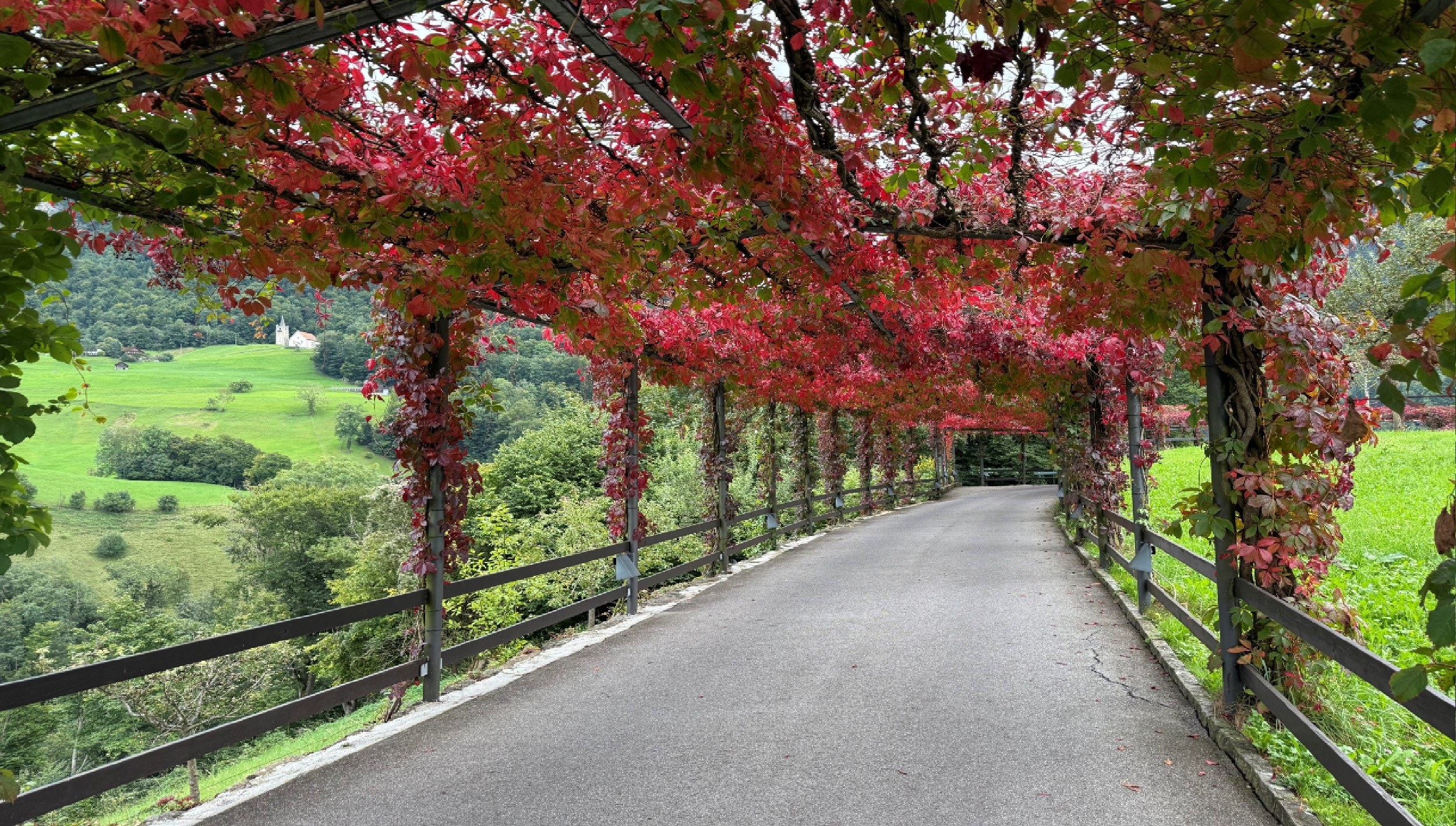 Herbst Hotelzufahrt