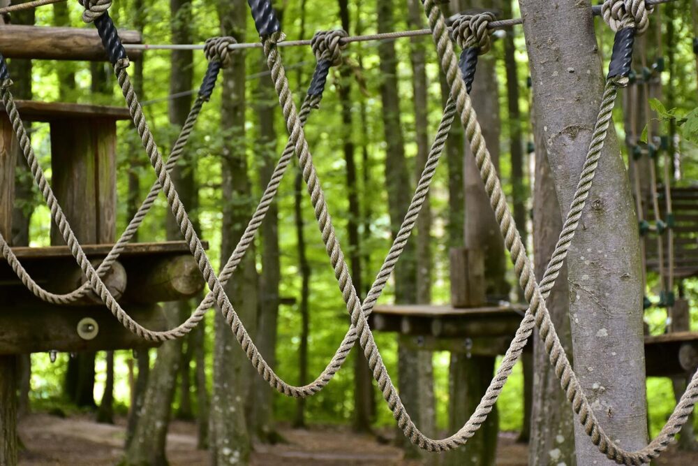 Seilpark – Spass für die ganze Familie